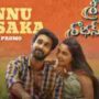 Ninnu Chusaka Song Lyrics From Sridevi Shoban Babu Movie In Telugu